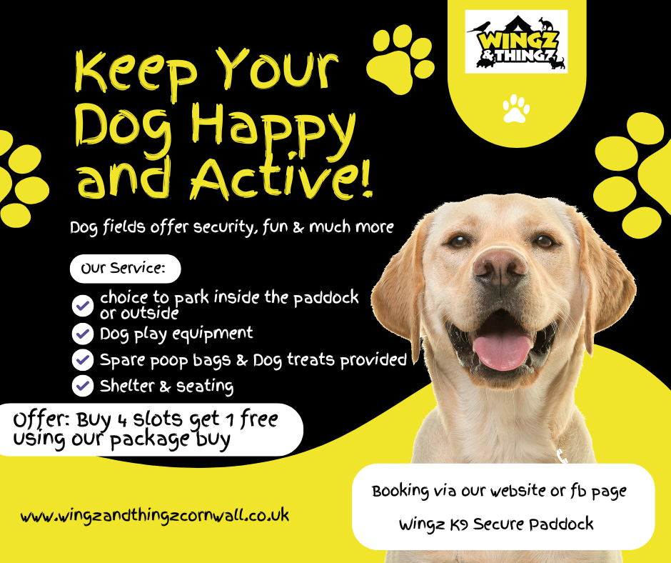 dog paddock info