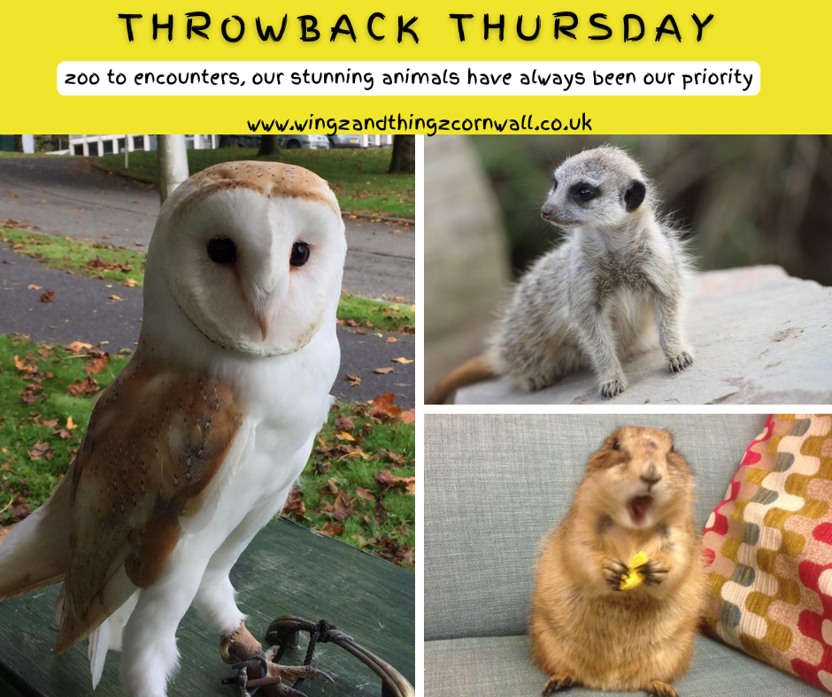 throwback Thursday