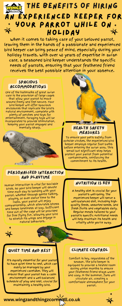 why use an experienced keeper for your parrot whilst on holiday