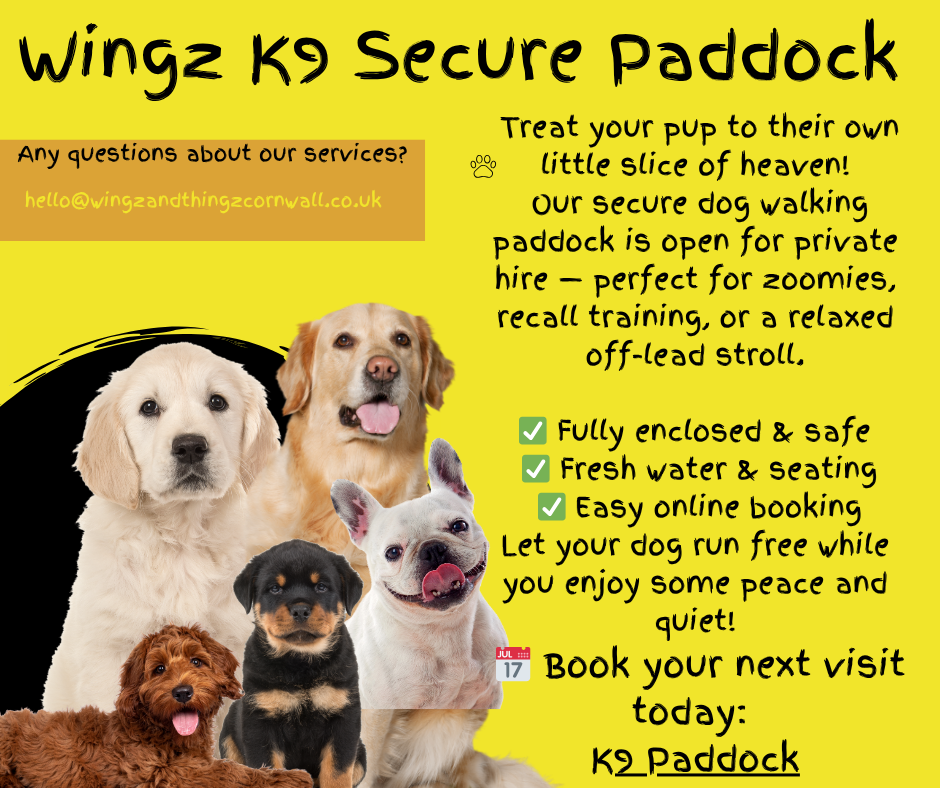 dog paddock info