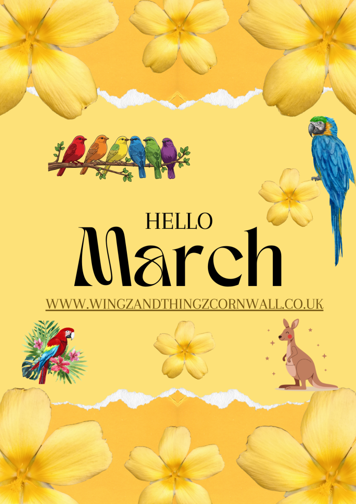 hello march