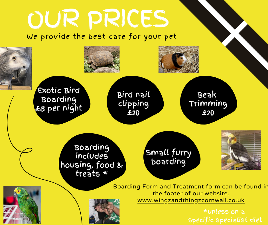 Our boarding and beak or nail trimming prices