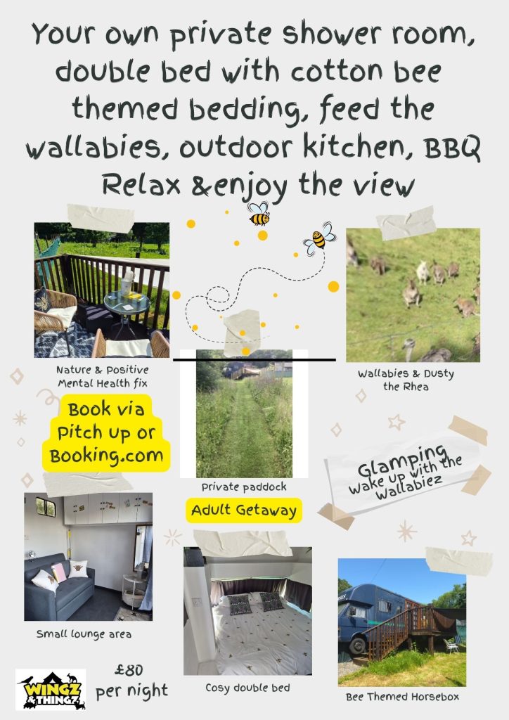 Horsebox, converted to an adult getaway. Bee themed, opposite the wallaby field