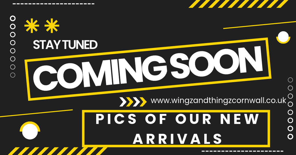 coming soon tease picture